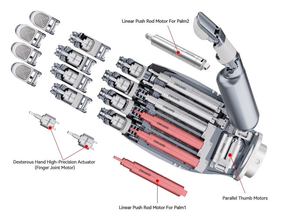 Linear Push Rod Motor For Palm